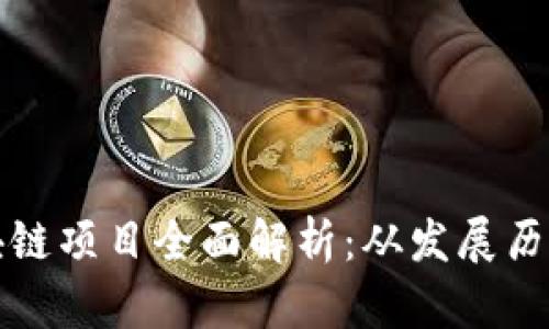中国麻将区块链项目全面解析：从发展历史到未来趋势