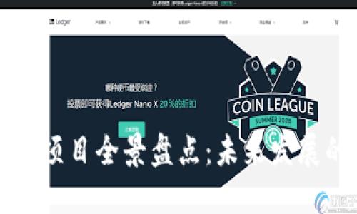 中国区块链金融项目全景盘点：未来发展的可能性与挑战