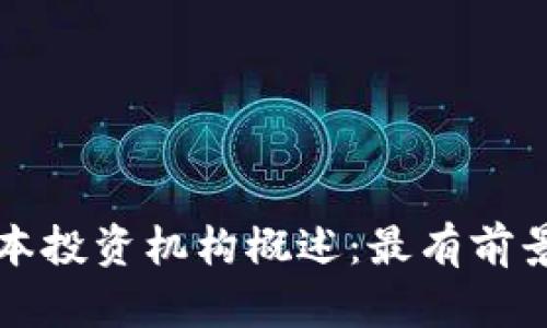 区块链领域的资本投资机构概述：最有前景的投资者与趋势