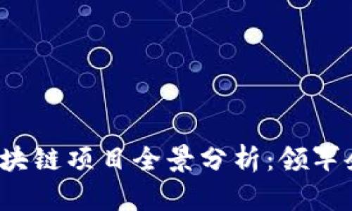 2023年云象区块链项目全景分析:领军企业与前沿技术