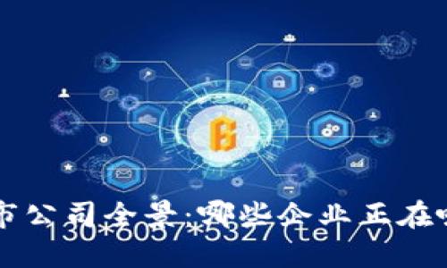 区块链行业的上市公司全景：哪些企业正在吸引投资者的目光