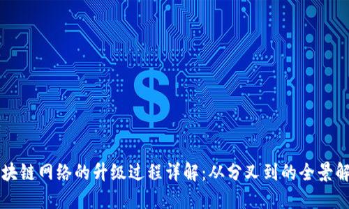 区块链网络的升级过程详解：从分叉到的全景解读