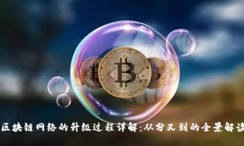 区块链网络的升级过程详解：从分叉到的全景解读