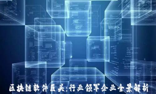 
区块链软件巨头：行业领军企业全景解析