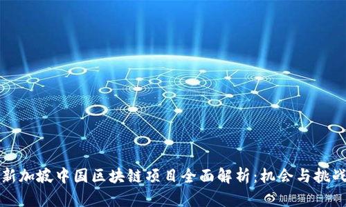 新加坡中国区块链项目全面解析：机会与挑战