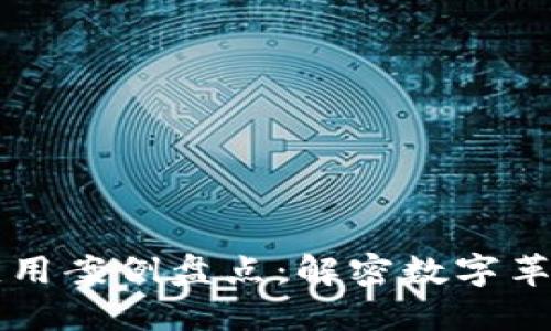 区块链成功应用案例盘点：解密数字革命的关键力量