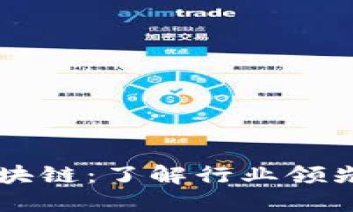 全球公认的区块链：了解行业领先的区块链平台