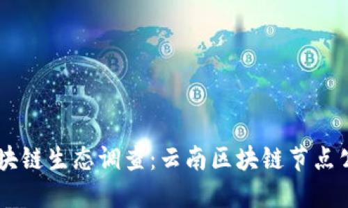 云南区块链生态调查：云南区块链节点公司全览