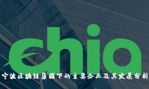 宁波区块链集团下的主要企业及其发展分析