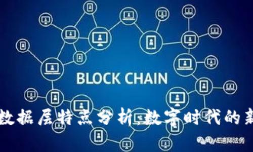 区块链的数据层特点分析：数字时代的新技术支柱