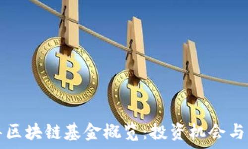   
水木清华区块链基金概览：投资机会与风险分析