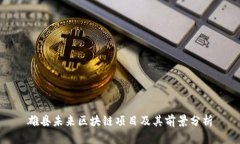 雄县未来区块链项目及其