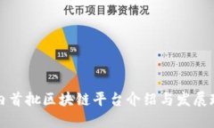 国内首批区块链平台介绍