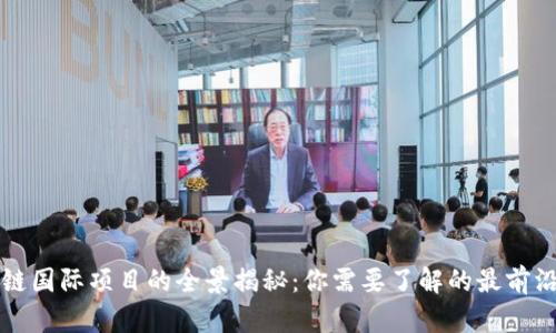 区块链国际项目的全景揭秘：你需要了解的最前沿发展