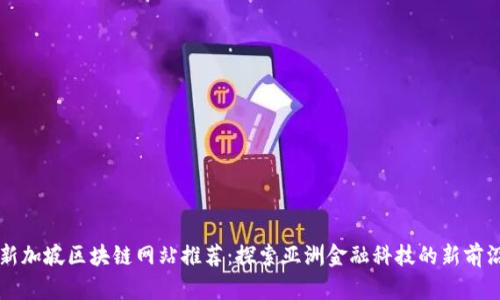 新加坡区块链网站推荐:探索亚洲金融科技的新前沿