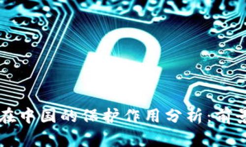 区块链在中国的保护作用分析：前景与挑战