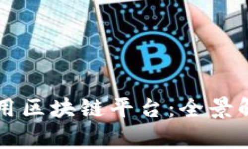 全球领先的商用区块链平台：全景解析与前景展望