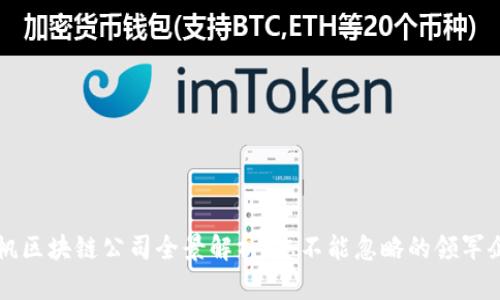 云帆区块链公司全景解析:您不能忽略的领军企业