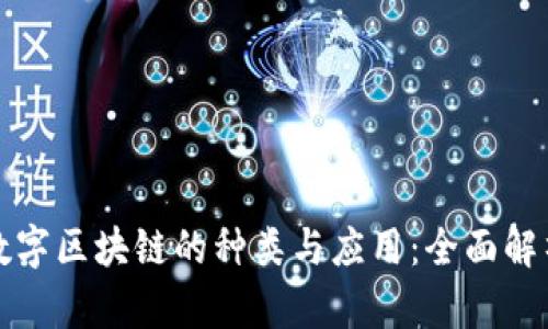 数字区块链的种类与应用:全面解析