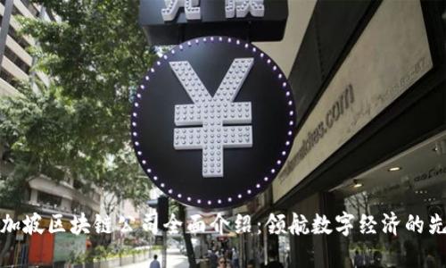 新加坡区块链公司全面介绍：领航数字经济的先锋