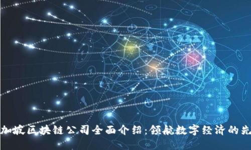 新加坡区块链公司全面介绍：领航数字经济的先锋
