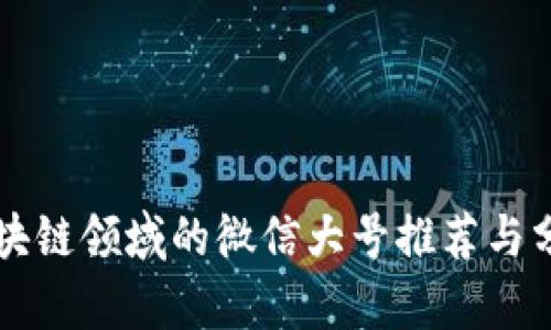 区块链领域的微信大号推荐与分析