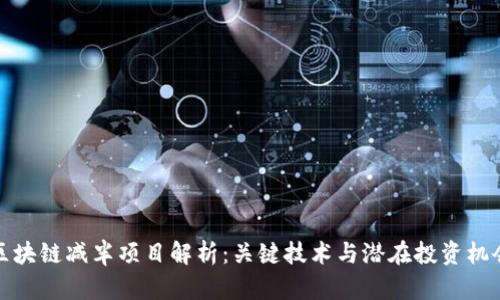 区块链减半项目解析：关键技术与潜在投资机会