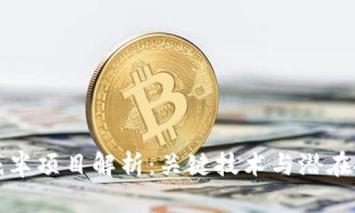 区块链减半项目解析：关键技术与潜在投资机会