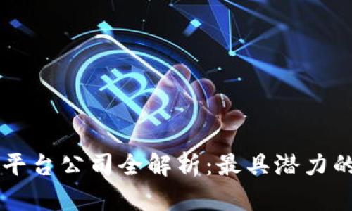 区块链二层平台公司全解析：最具潜力的项目与应用