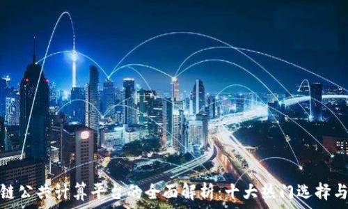   
区块链公共计算平台的全面解析：十大热门选择与比较