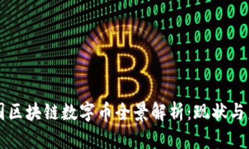中国区块链数字币全景解析：现状与未来