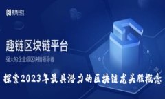 探索2023年最具潜力的区块
