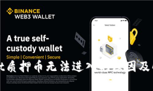 tpWallet质押币无法进入的原因及解决方法