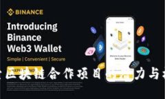 探索区块链合作项目的潜