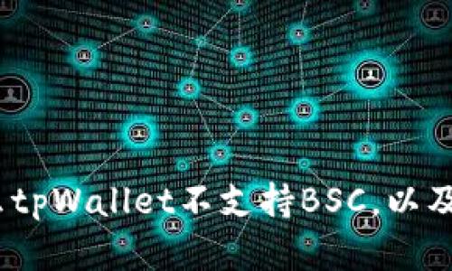 深入解读:为什么tpWallet不支持BSC,以及用户的应对策略