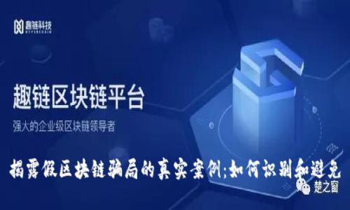 揭露假区块链骗局的真实案例：如何识别和避免