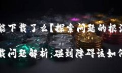 tpWallet不能下载了么？探索