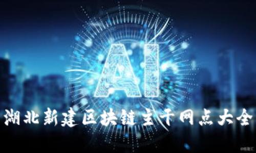 湖北新建区块链主干网点大全