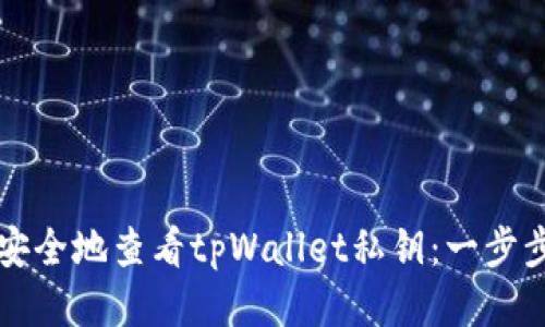 如何安全地查看tpWallet私钥：一步步指南