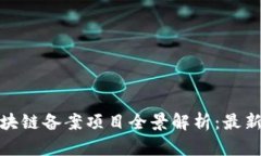 : 2023年中国区块链备案项