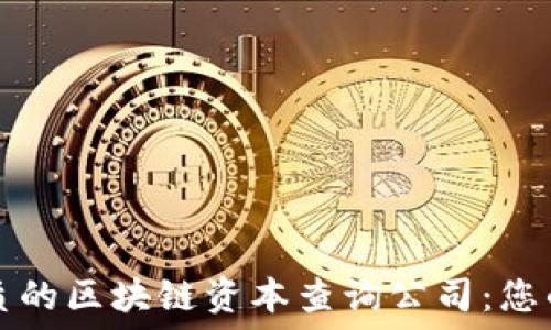   
探寻最优质的区块链资本查询公司：您的投资指南
