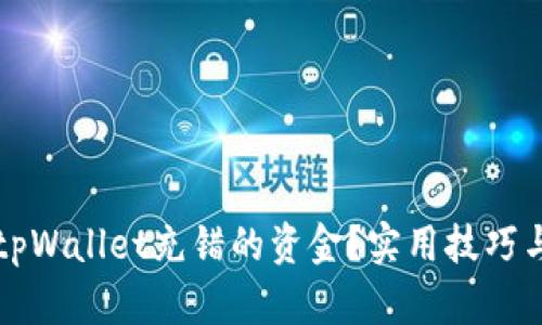 如何找回tpWallet充错的资金？实用技巧与步骤解析