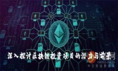深入探讨区块链投资项目