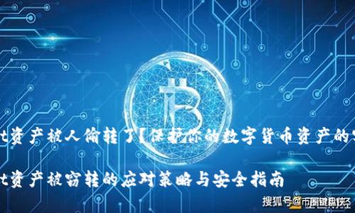 tpWallet资产被人偷转了？保护你的数字货币资产的实用指南

tpWallet资产被窃转的应对策略与安全指南