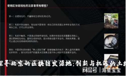探寻北京的区块链发源地：创新与机遇的土壤