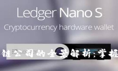 郑州国家级区块链公司的全景解析：掌握创新科技的脉动