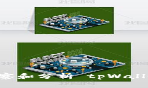 如何深入观察和分析 tpWallet：全面指南