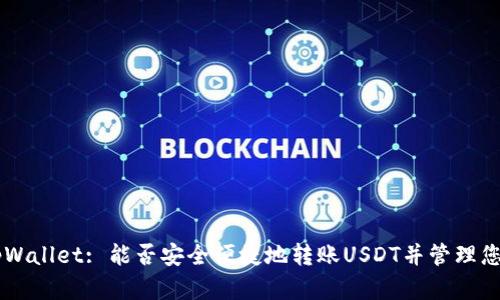 Explore tpWallet: 能否安全便捷地转账USDT并管理您的数字资产