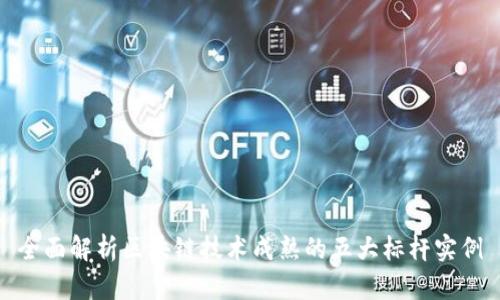 全面解析区块链技术成熟的五大标杆实例