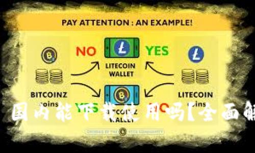 tpWallet 国内能下载使用吗？全面解读与指南